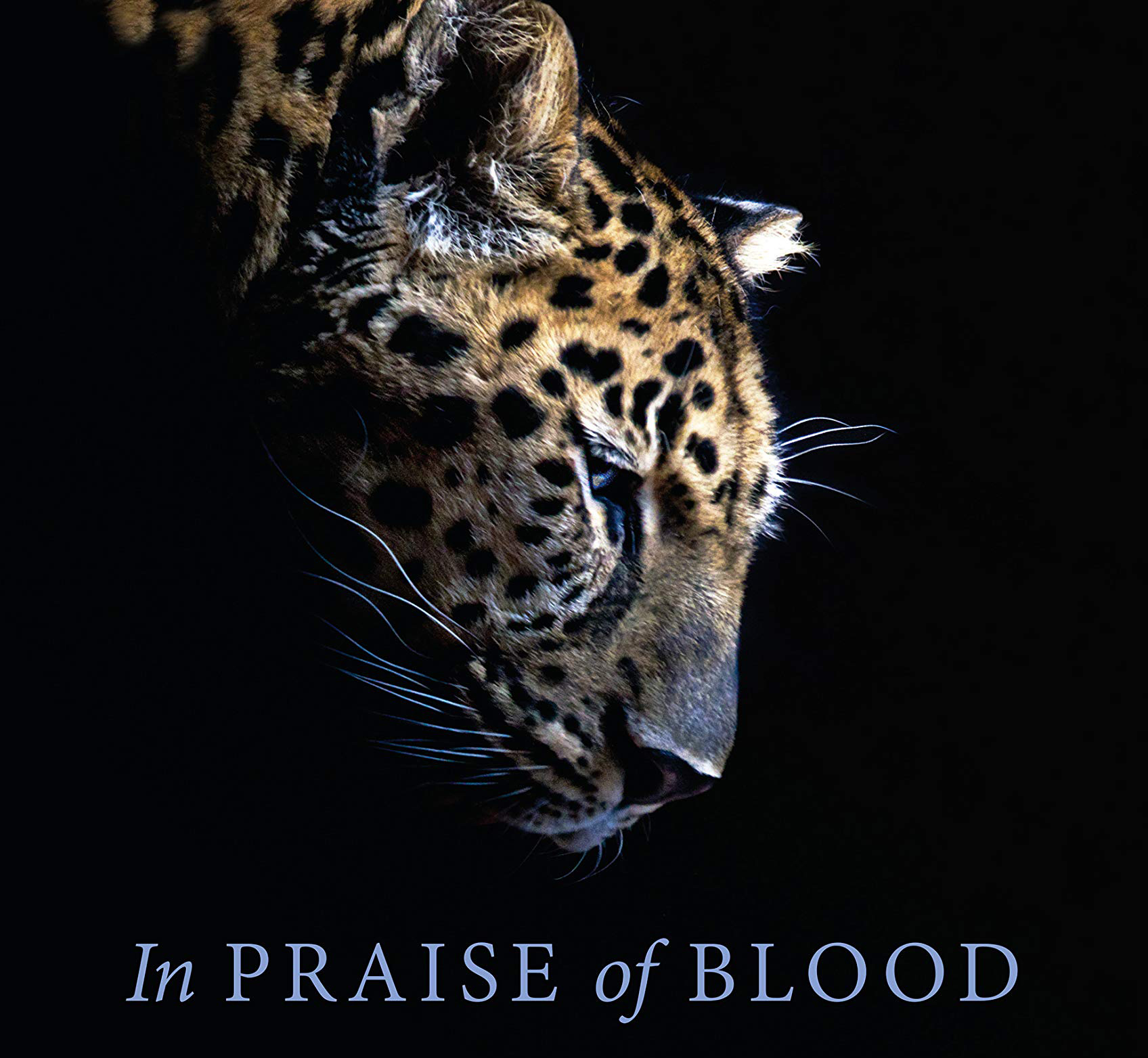 'In Praise of Blood' by Judi Rever